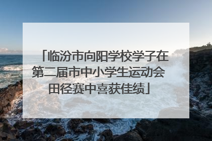 临汾市向阳学校学子在第二届市中小学生运动会田径赛中喜获佳绩