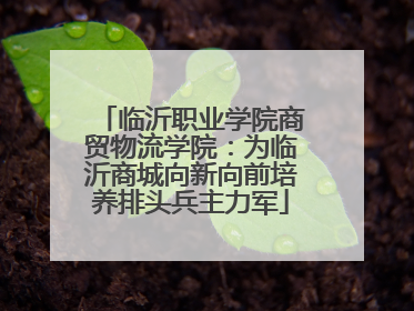 临沂职业学院商贸物流学院:为临沂商城向新向前培养排头兵主力军