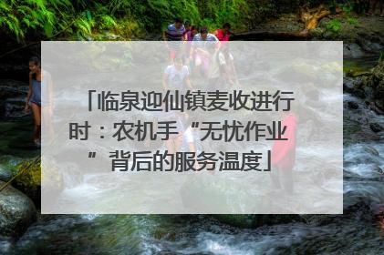 临泉迎仙镇麦收进行时：农机手“无忧作业”背后的服务温度