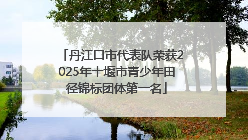 丹江口市代表队荣获2025年十堰市青少年田径锦标团体第一名