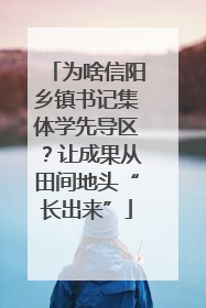 为啥信阳乡镇书记集体学先导区？让成果从田间地头“长出来”