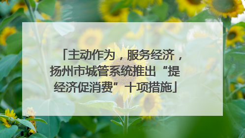 主动作为，服务经济，扬州市城管系统推出“提经济促消费”十项措施
