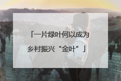 一片绿叶何以成为乡村振兴“金叶”