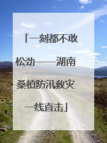 一刻都不敢松劲——湖南桑植防汛救灾一线直击