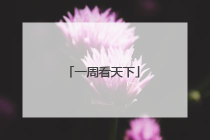 一周看天下