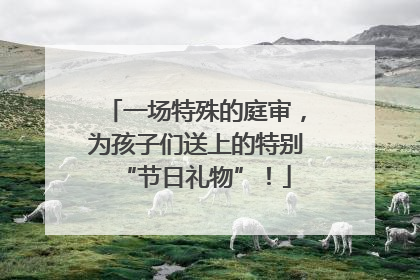 一场特殊的庭审，为孩子们送上的特别“节日礼物”！