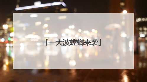 一大波螳螂来袭