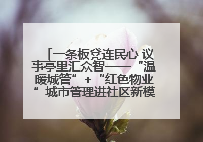 一条板凳连民心 议事亭里汇众智——“温暖城管”+“红色物业”城市管理进社区新模式绘就城市管理社区治理新画卷