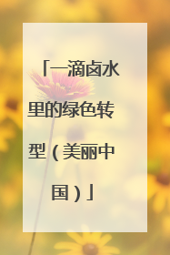 一滴卤水里的绿色转型（美丽中国）