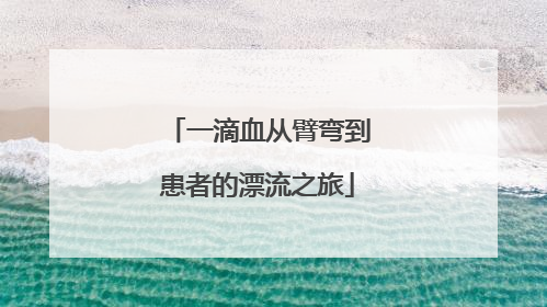 一滴血从臂弯到患者的漂流之旅