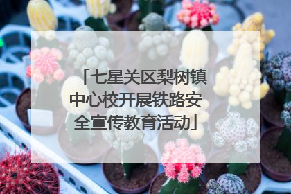 七星关区梨树镇中心校开展铁路安全宣传教育活动