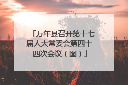 万年县召开第十七届人大常委会第四十四次会议（图）