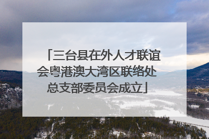三台县在外人才联谊会粤港澳大湾区联络处总支部委员会成立