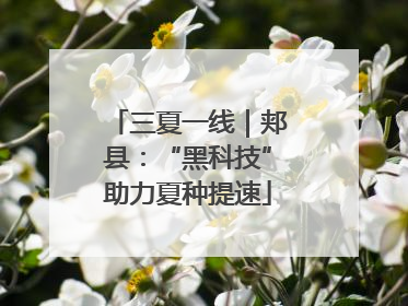 三夏一线｜郏县：“黑科技”助力夏种提速