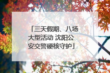 三天假期、八场大型活动 沈阳公安交警硬核守护