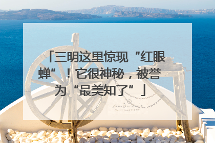 三明这里惊现“红眼蝉”！它很神秘，被誉为“最美知了”