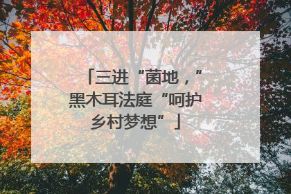 三进“菌地，”黑木耳法庭“呵护乡村梦想”