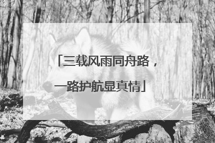 三载风雨同舟路，一路护航显真情