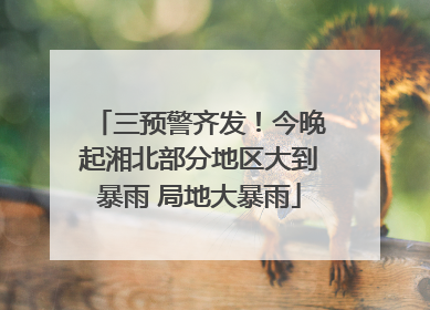 三预警齐发！今晚起湘北部分地区大到暴雨 局地大暴雨