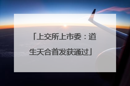 上交所上市委：道生天合首发获通过