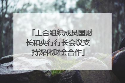 上合组织成员国财长和央行行长会议支持深化财金合作