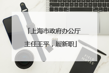 上海市政府办公厅主任王平，履新职