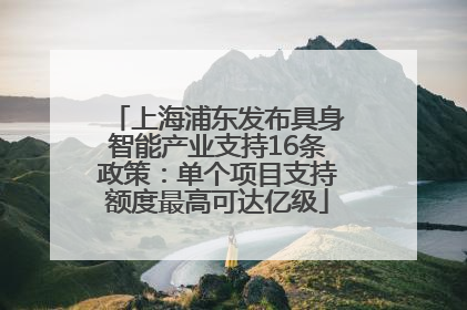 上海浦东发布具身智能产业支持16条政策：单个项目支持额度最高可达亿级