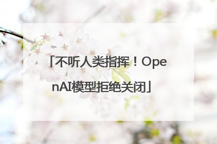 不听人类指挥！OpenAI模型拒绝关闭