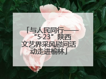 与人民同行——“5·23”陕西文艺界采风慰问活动走进榆林