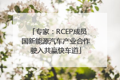 专家：RCEP成员国新能源汽车产业合作驶入共赢快车道