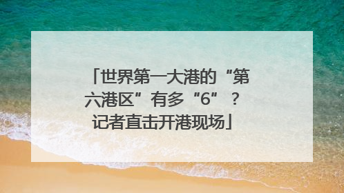 世界第一大港的“第六港区”有多“6”？记者直击开港现场