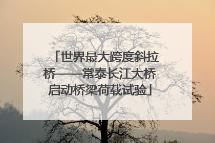 世界最大跨度斜拉桥——常泰长江大桥启动桥梁荷载试验