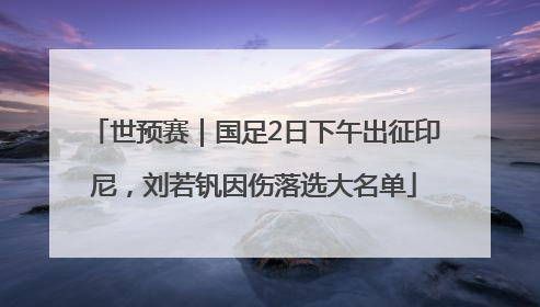 世预赛｜国足2日下午出征印尼，刘若钒因伤落选大名单