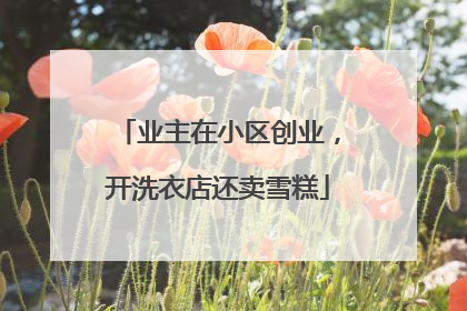 业主在小区创业，开洗衣店还卖雪糕