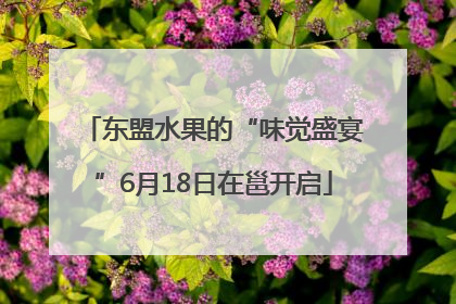 东盟水果的“味觉盛宴”6月18日在邕开启