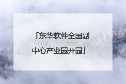 东华软件全国副中心产业园开园
