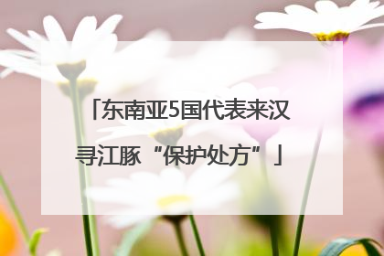 东南亚5国代表来汉寻江豚“保护处方”