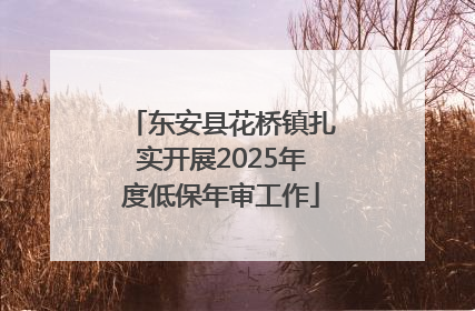 东安县花桥镇扎实开展2025年度低保年审工作