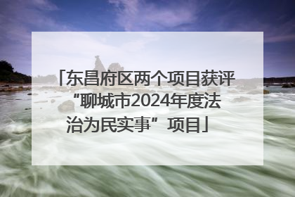 东昌府区两个项目获评“聊城市2024年度法治为民实事”项目