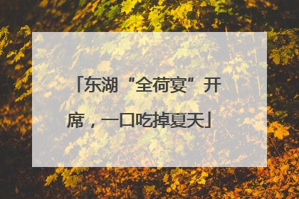 东湖“全荷宴”开席，一口吃掉夏天