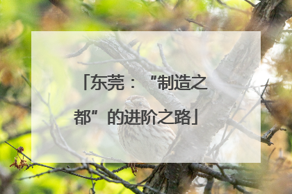 东莞：“制造之都”的进阶之路