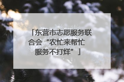 东营市志愿服务联合会“农忙来帮忙 服务不打烊”
