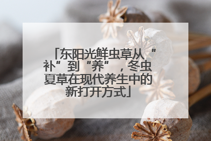 东阳光鲜虫草从“补”到“养”，冬虫夏草在现代养生中的新打开方式
