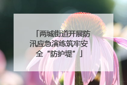 两城街道开展防汛应急演练筑牢安全“防护堤”
