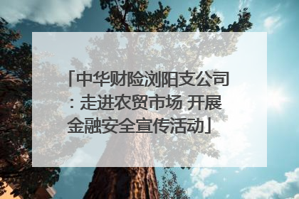 中华财险浏阳支公司：走进农贸市场 开展金融安全宣传活动