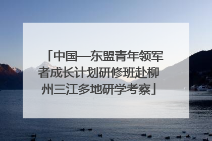 中国—东盟青年领军者成长计划研修班赴柳州三江多地研学考察