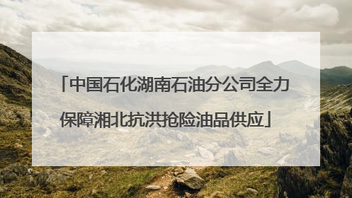 中国石化湖南石油分公司全力保障湘北抗洪抢险油品供应