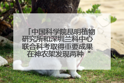 中国科学院昆明植物研究所和深圳兰科中心联合科考取得重要成果 在神农架发现两种“国保”级兰花