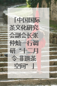 中国国际茶文化研究会副会长张仲灿一行调研“十二月令·非遗茶空间”