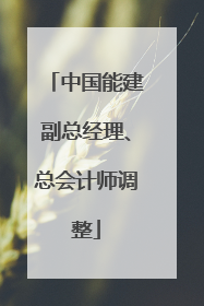 中国能建副总经理、总会计师调整